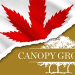 : Once-mighty Canopy Growth loses billions as dream of pot riches runs into reality of oversupply and overspending