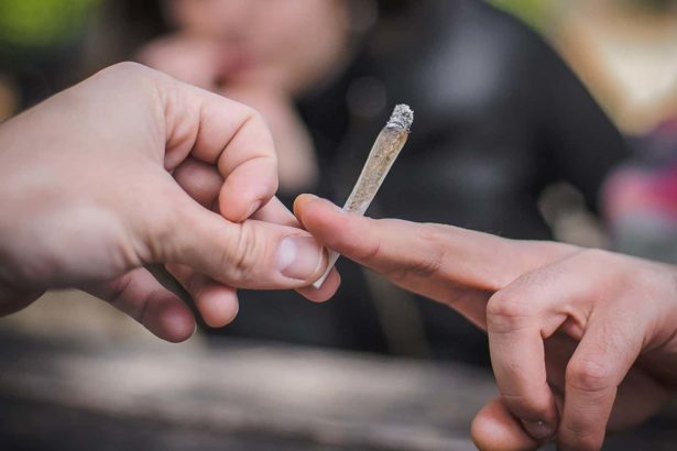 Appetite for mind-altering substances is booming among US adults