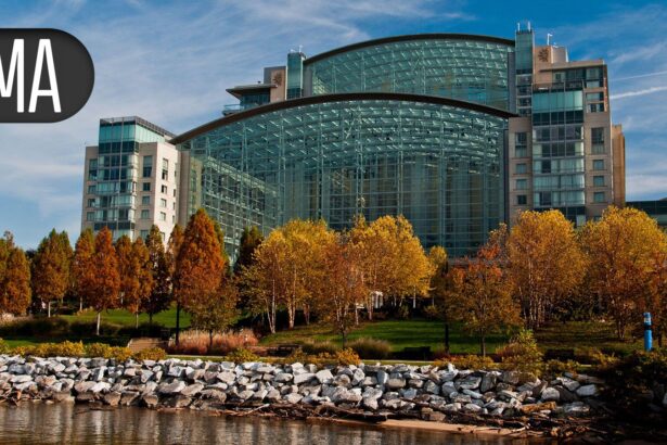 AMA Delegates Take Action on Cannabis, Medical Aid-in-Dying Resolutions