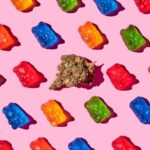 Vaping vs edibles: How does the way we use cannabis alter its effects?