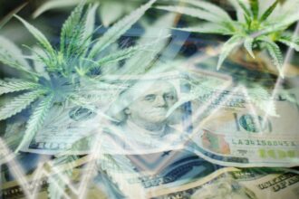Judge Rejects Discrimination Claim Against New York Pot Business Licensing