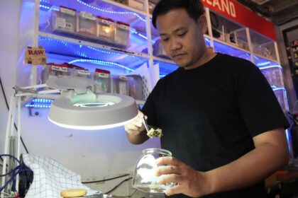 Thailand looks set to crack down on legal pot market