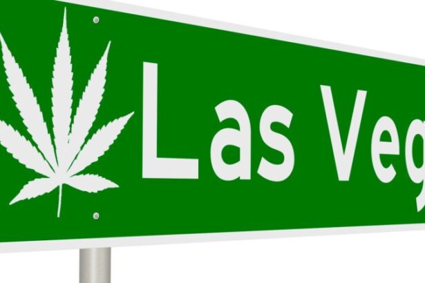 Nevada Gives Go-Ahead to First Licensed Cannabis Consumption Lounge