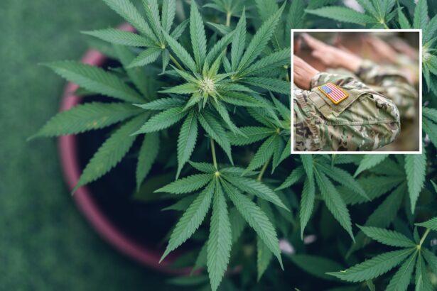 Joe Biden’s Cannabis Pardons Do Not Apply to Everyone