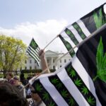 Biden, at risk with young voters, is racing to shift marijuana policy