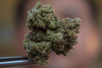 Thailand’s Prime Minister Eyes Outlawing Pot 2 Years After Decriminalization