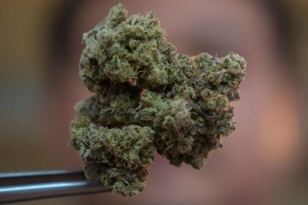 Thailand’s Prime Minister Eyes Outlawing Pot 2 Years After Decriminalization