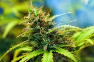 DOJ Officially Moves to Reclassify Marijuana as Schedule III