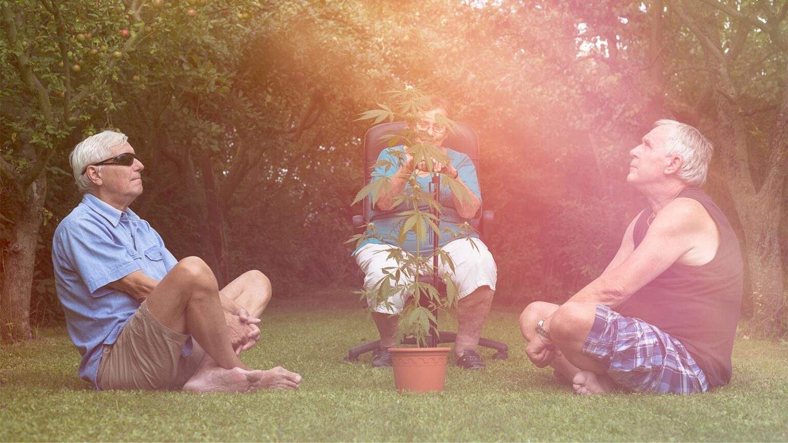 Legal Marijuana Leads to More Hospital Trips for Older Adults