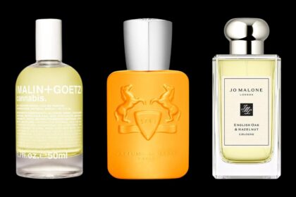 Best Summer Fragrances For Men 2024