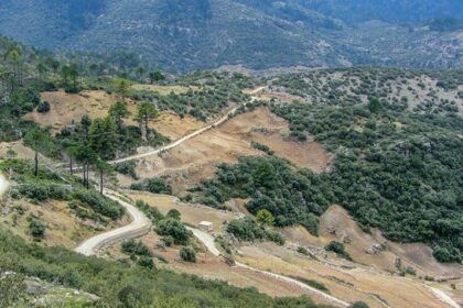 Moroccan cannabis farms threaten biodiversity | Science