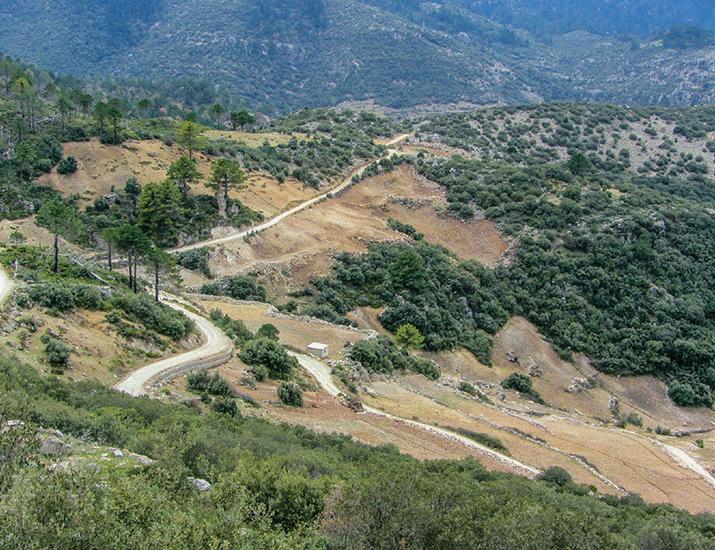 Moroccan cannabis farms threaten biodiversity | Science