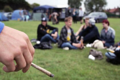 Cannabis Use in Teens, Young Adults Linked to Lower Academic Success