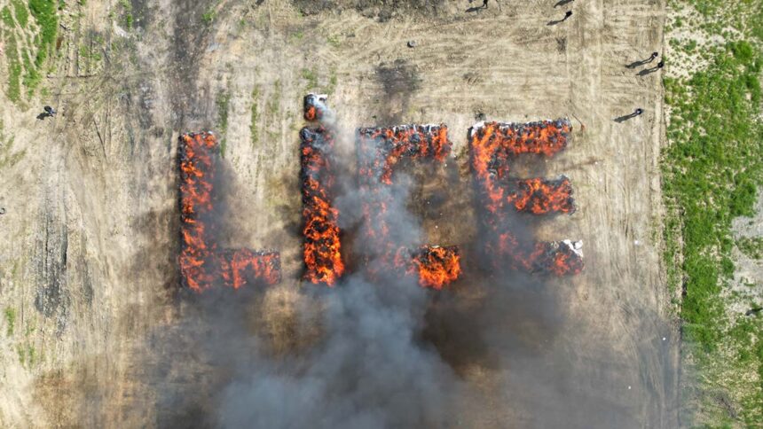 Turkish Town Involutarily Gets High After Police Burn Over 20 Tons of Confiscated Weed
