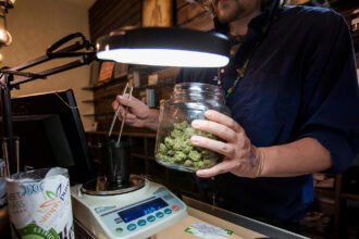 Cannabis-CVD Link Holds Strong Amid Changing Drug Laws, User Habits