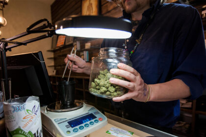 Cannabis-CVD Link Holds Strong Amid Changing Drug Laws, User Habits