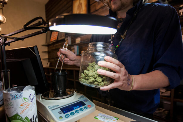 Cannabis-CVD Link Holds Strong Amid Changing Drug Laws, User Habits