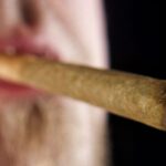 Cannabis Linked to Increased Risk for CVD Death
