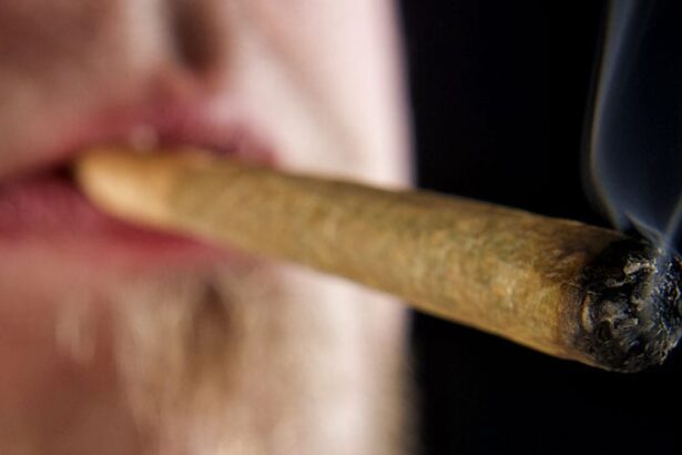 Cannabis Linked to Increased Risk for CVD Death