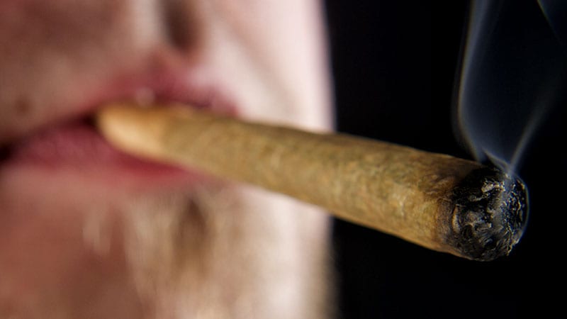 Cannabis Linked to Increased Risk for CVD Death