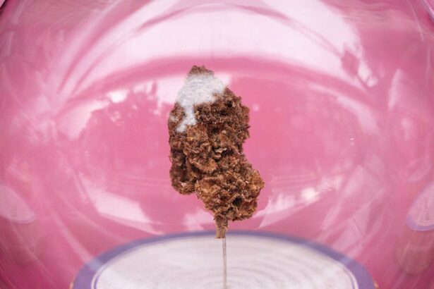 Thailand Moves to De-Legalize Weed in Major Drug-Policy U-Turn