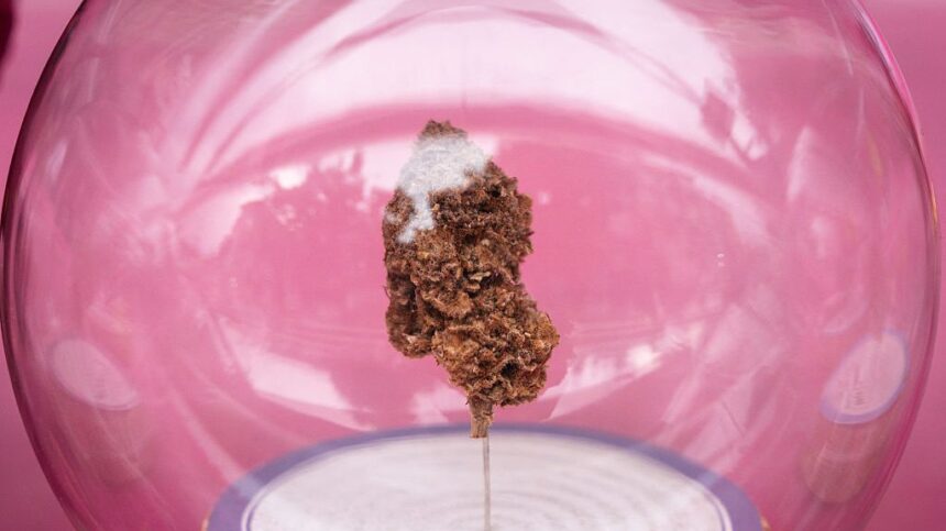 Thailand Moves to De-Legalize Weed in Major Drug-Policy U-Turn