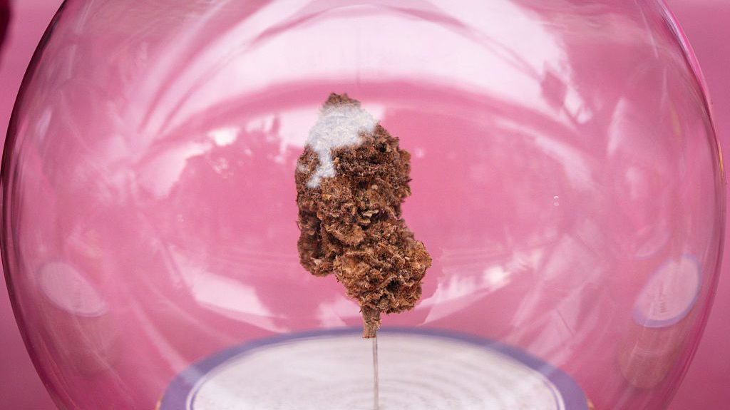Thailand Moves to De-Legalize Weed in Major Drug-Policy U-Turn