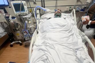 Muere trabajador agrícola que cayó de techo durante caótica redada de ICE en California