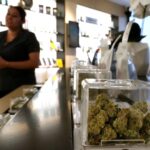 Inflation? Not in the cannabis market. Here’s why weed is so cheap.
