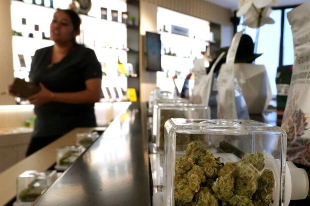 Inflation? Not in the cannabis market. Here’s why weed is so cheap.