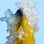 Inside the lab-driven quest for the ultimate high