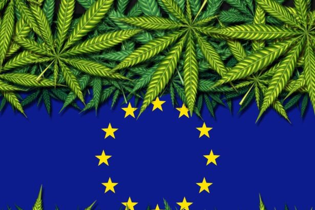 Where Is Cannabis Legal In Europe?