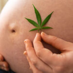Screen for Cannabis Use in Pregnancy, Guidance Says