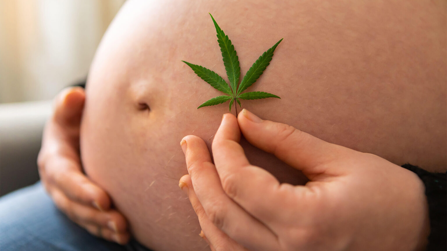 Screen for Cannabis Use in Pregnancy, Guidance Says