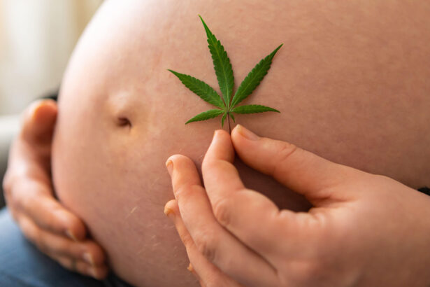 Screen for Cannabis Use in Pregnancy, Guidance Says