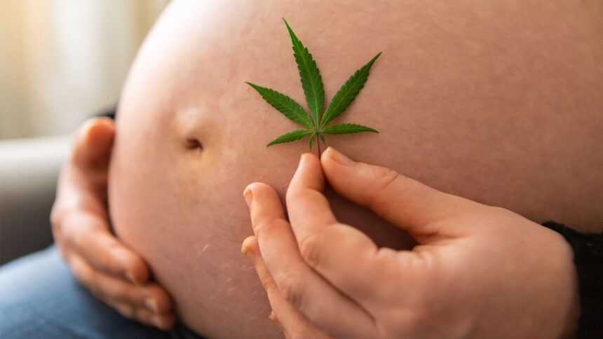 Screen for Cannabis Use in Pregnancy, Guidance Says