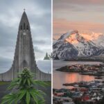 Cannabis At The Ends Of The Earth: Notes On The Northern & Southern Frontiers Of Cannabis