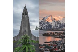 Cannabis At The Ends Of The Earth: Notes On The Northern & Southern Frontiers Of Cannabis