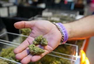 Trump signals marijuana pivot. Here’s how federal and state cannabis laws work