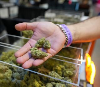 Trump signals marijuana pivot. Here’s how federal and state cannabis laws work