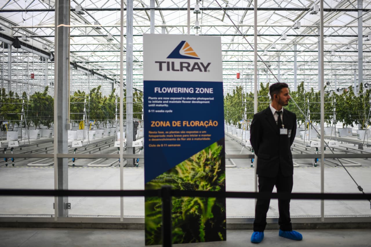 Tilray’s stock takes off on hope that cannabis will soon be treated more like steroids than heroin