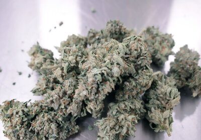 Trump aims to reform federal cannabis law