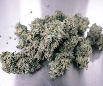 Trump aims to reform federal cannabis law