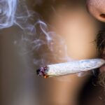 Trump expected to sign an order moving to reclassify cannabis and open up medical potential