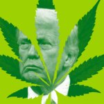 Cannabis Businesses Just Got Their Biggest Federal Win From Trump