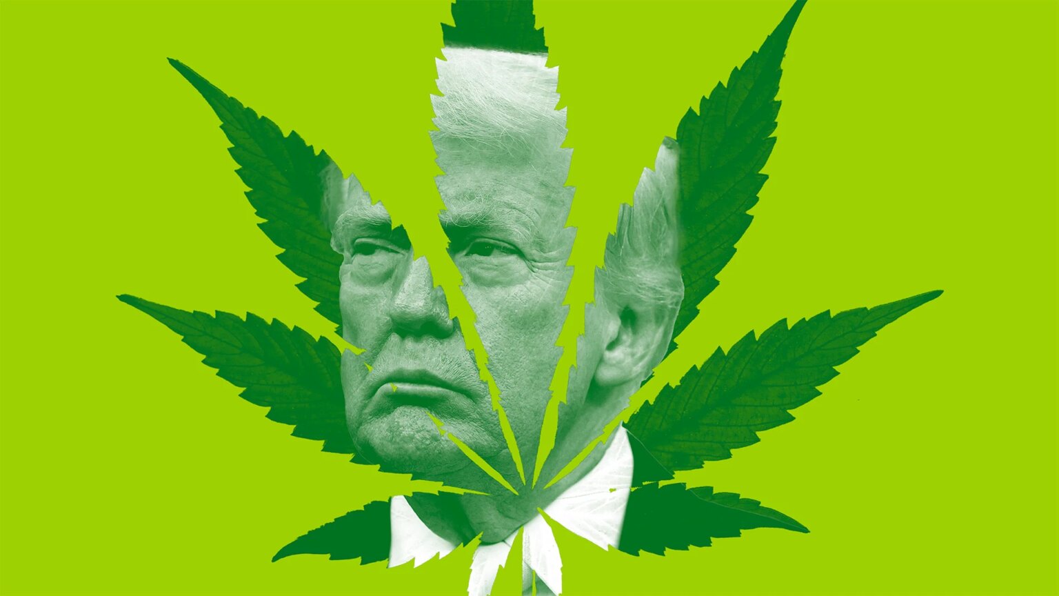 Cannabis Businesses Just Got Their Biggest Federal Win From Trump