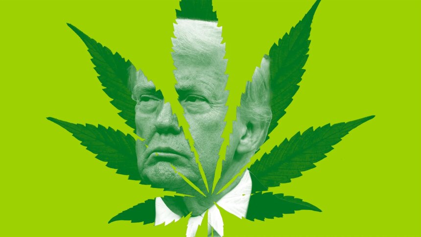 Cannabis Businesses Just Got Their Biggest Federal Win From Trump