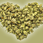 Is Cannabis Good for Your Heart?