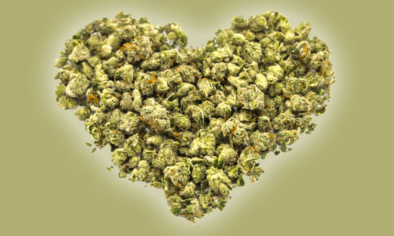 Is Cannabis Good for Your Heart?