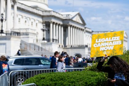 Marijuana reform is emerging as a midterm elections issue on both sides of the aisle